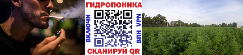 Наркошоп Заречный ГАШ  Псилоцибиновые грибы  Меф  АМФ  МАРИХУАНА  Cocaine 