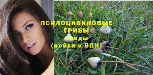 соль ск Балахна