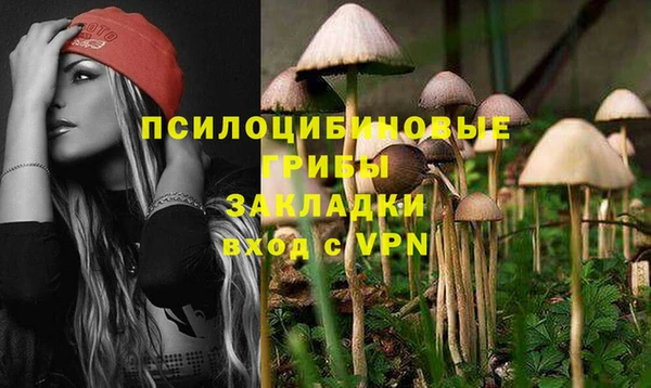 соль ск Балахна
