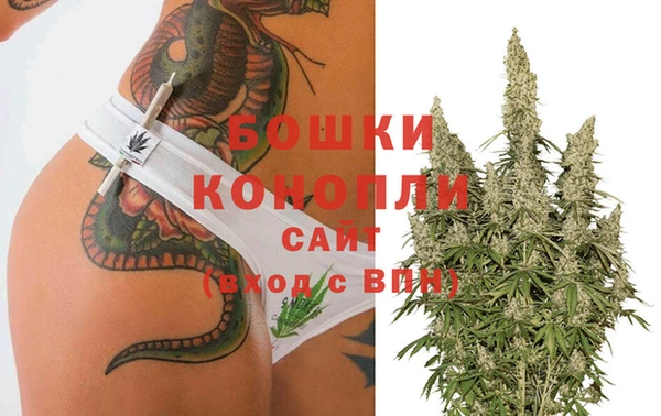 эйфоретик Баксан