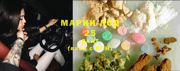 эйфоретик Баксан