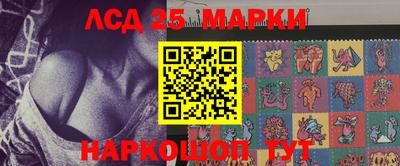 индика Камышлов