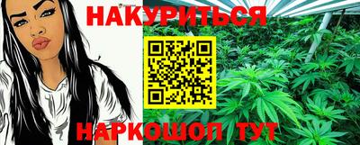 индика Камышлов