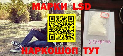 индика Камышлов