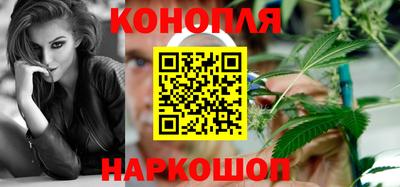 Альфа ПВП Канаш