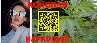 Альфа ПВП Канаш