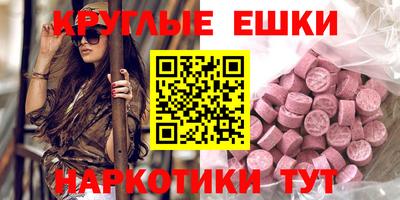 индика Камышлов