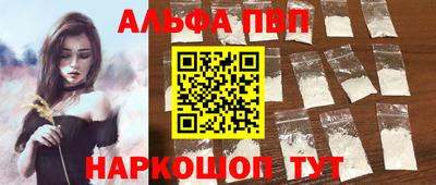 индика Камышлов