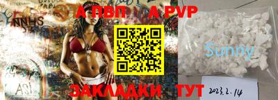 индика Камышлов