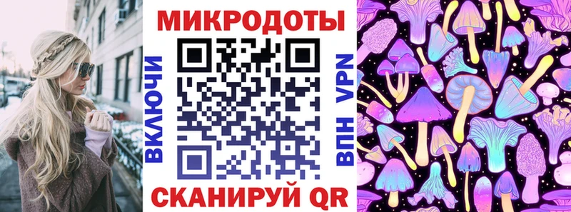закладки  Заречный  Псилоцибиновые грибы Psilocybe 